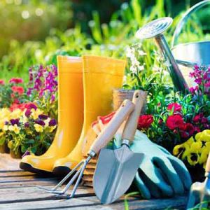 علوم و مهندسی باغبانی